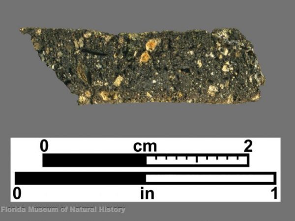 Cross section of limestone-tempered sherd