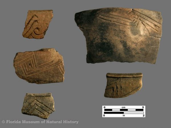 Aucilla Incised, AKA Ocmulgee Fields Incised, var. Aucilla