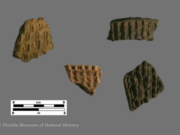 Tucker Ridge-Pinched