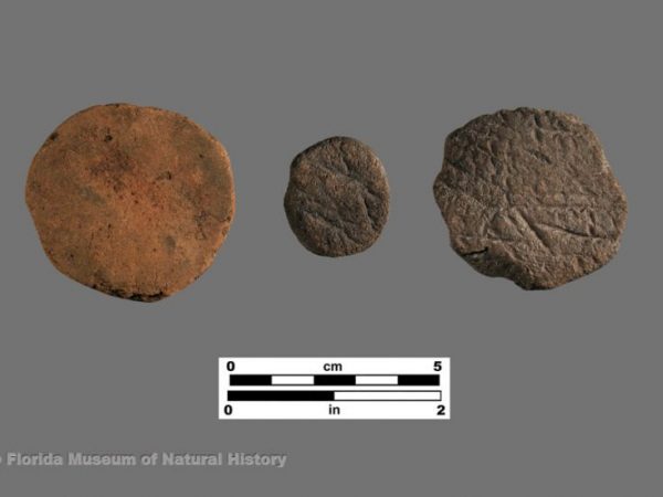 Alachua Tradition sherd discs