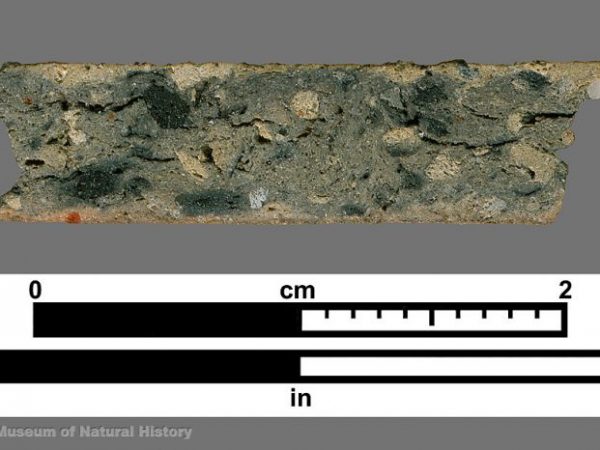Cross section of grog-tempered sherd