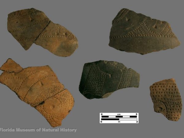 Weeden Island Punctated body sherds