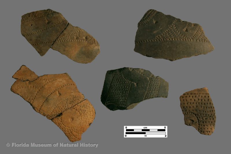 Weeden Island Punctated body sherds