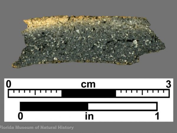 Cross section of sand-tempered sherd