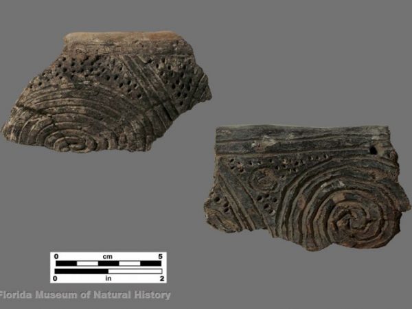 Tick Island Incised (Orange series)