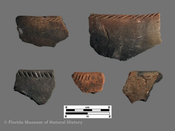 Fort Drum Incised (Glades series)