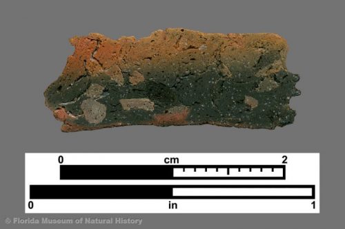 Cross section of grog-tempered sherd