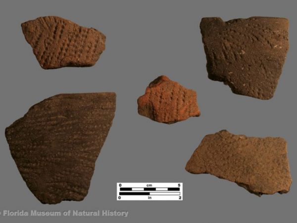 Ruskin Dentate Stamped