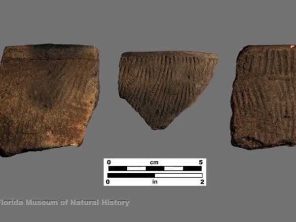 Thomas Simple Stamped