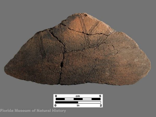 Gordon's Pass Incised (Glades series)