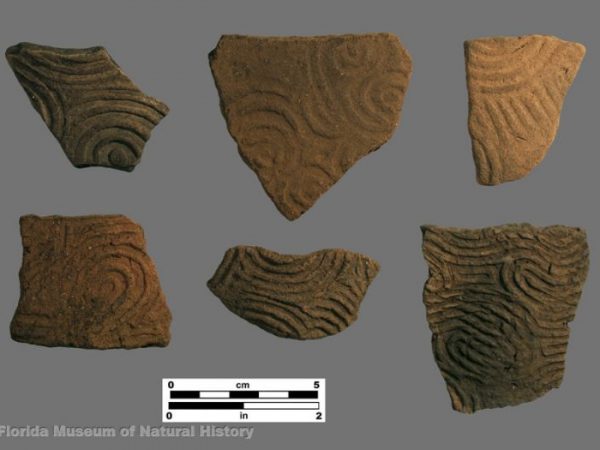 Swift Creek Complicated Stamped body sherds