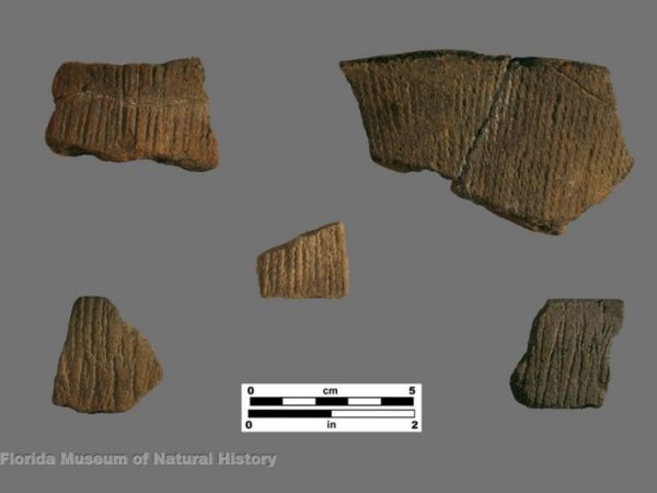 West Florida Cord Marked