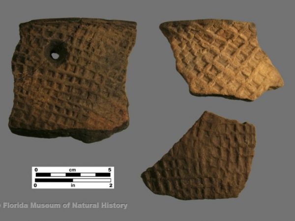 Deptford Bold Check Stamped