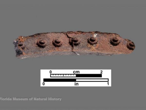 Glades Tooled (Glades series)