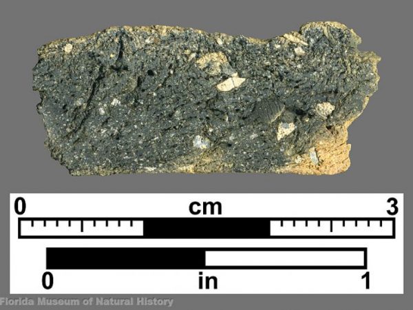 Cross section of grog-tempered sherd