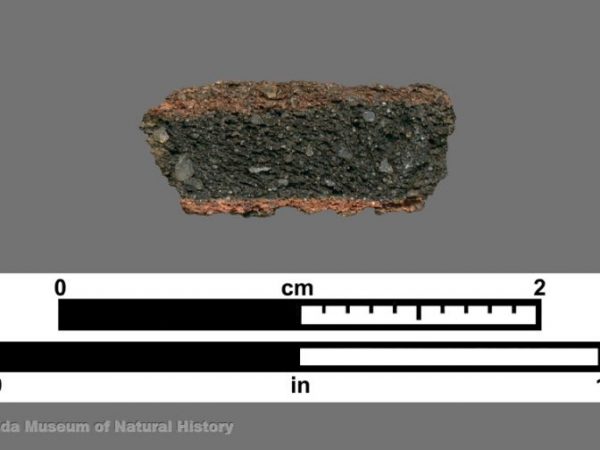 Cross section of sand-tempered sherd