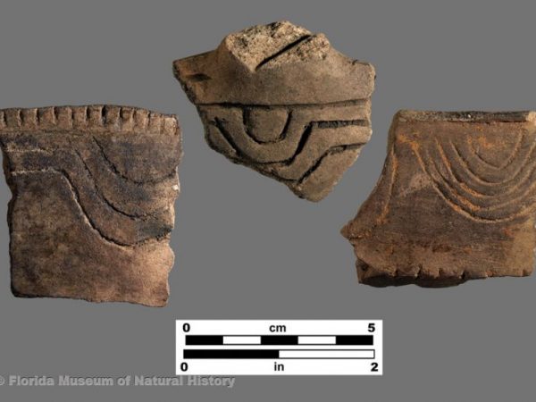 Point Washington Incised