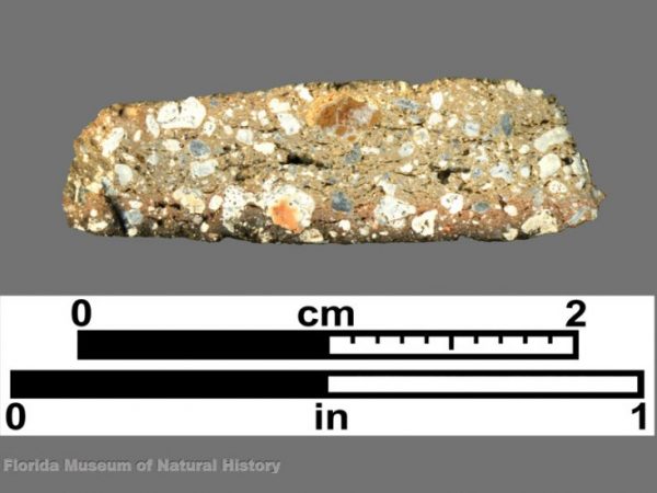 Cross section of limestone-tempered sherd
