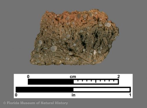 Cross section of grit-tempered sherd