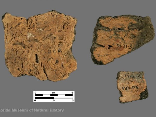 Orange Plain (Orange series), interior surface