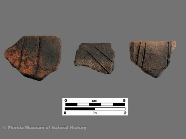 Miami Incised (Glades series)