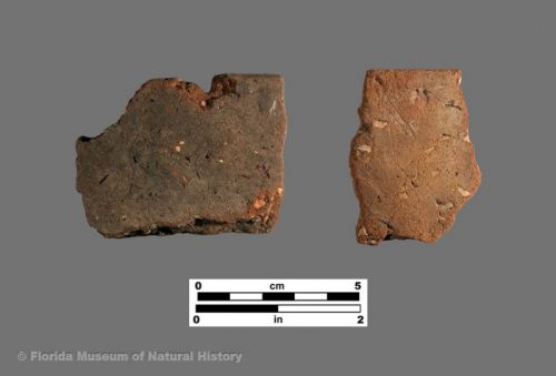 Colorinda Plain sherds with St. Johns grog temper