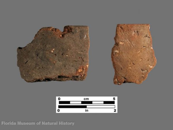 Colorinda Plain sherds with St. Johns grog temper