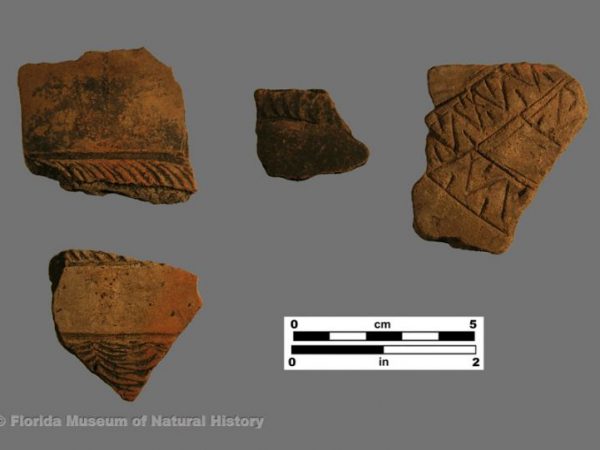 Alligator Bayou Stamped