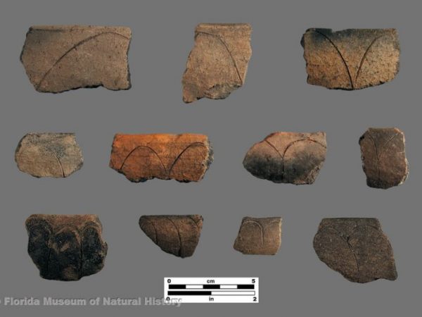 Key Largo Incised (Glades series