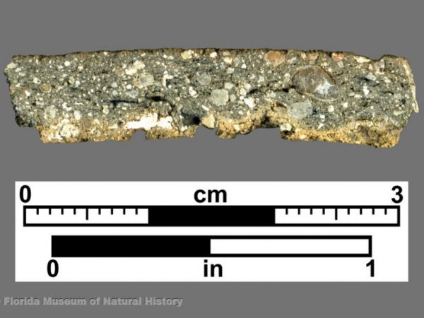 Cross section of limestone-tempered sherd
