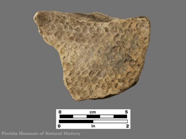 St. Johns basketry impressed