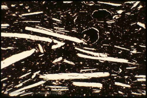 Thin section of sherd platy voids from dissolved shell temper (width of image 4mm; PPL, 4x)