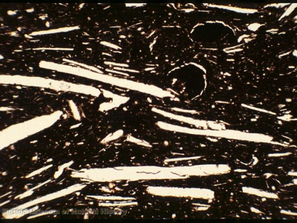 Thin section of sherd platy voids from dissolved shell temper (width of image 4mm; PPL, 4x)