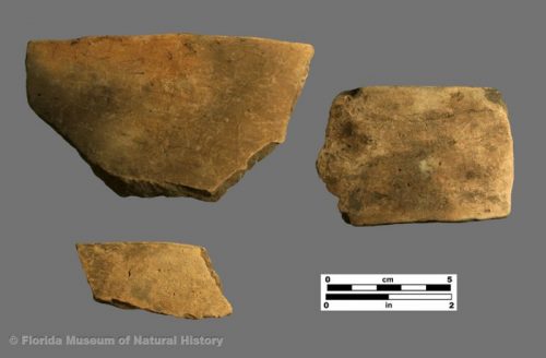 St. Johns Plain sherds