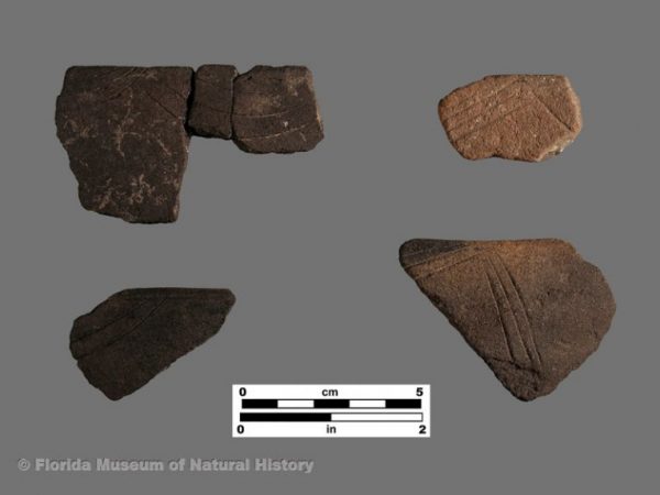 Dade Incised (Glades series)