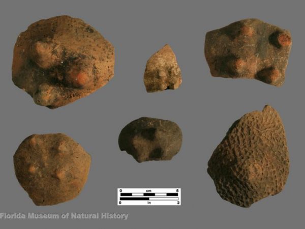 Deptford podal supports