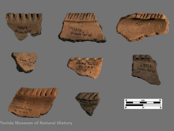 Glades Tooled (Glades series)