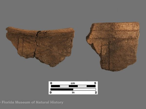 Surfside Incised-variants (Glades series)