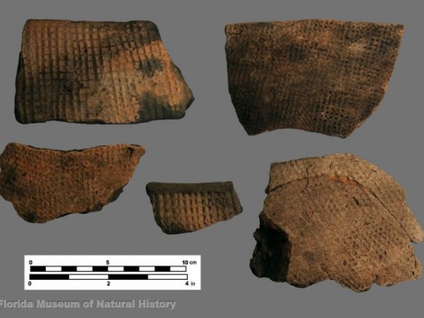 St. Johns Check Stamped