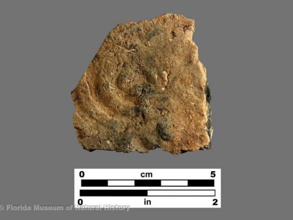 Jefferson-Lamar Complicated Stamped sherd with grog temper