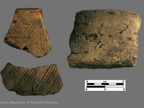 Orange Incised (Orange series)