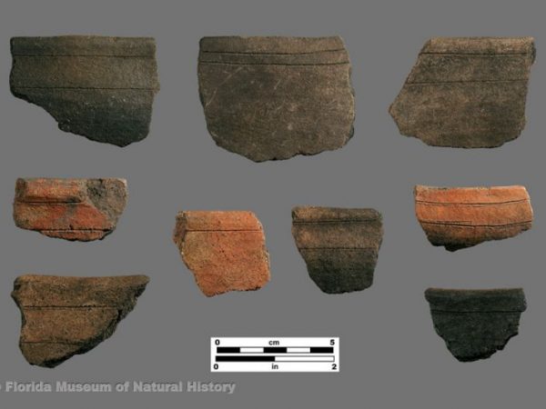 Surfside Incised (Glades series)