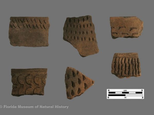 Carrabelle Punctated