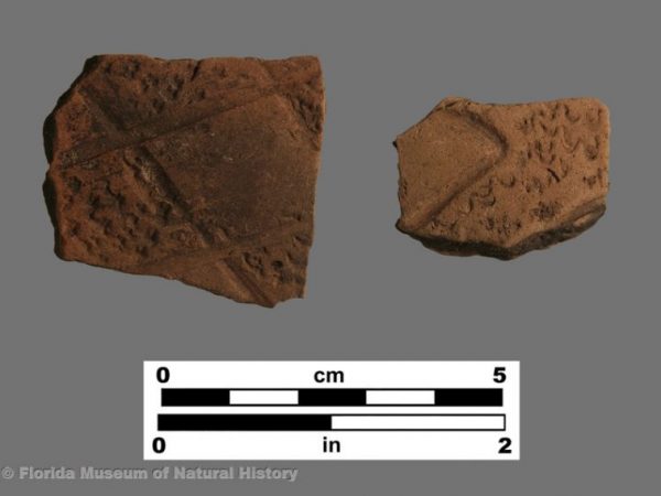 Santa Rosa Punctated