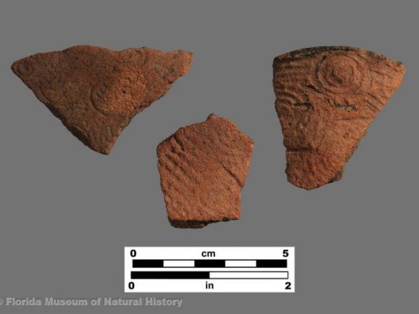 Old Bay Complicated Stamped