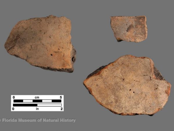 Goodland Plain (Goodland series)