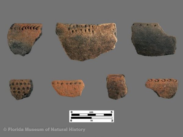 Fort Drum Punctated (Glades series)