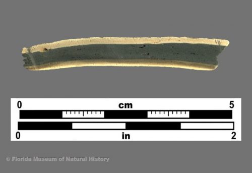 Cross section of St. Johns (spiculate paste) sherd