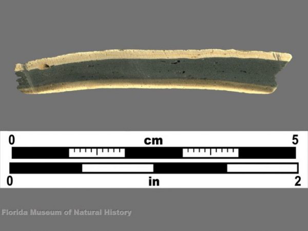Cross section of St. Johns (spiculate paste) sherd