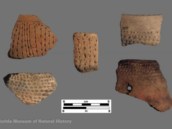 Gainesville Linear Punctated